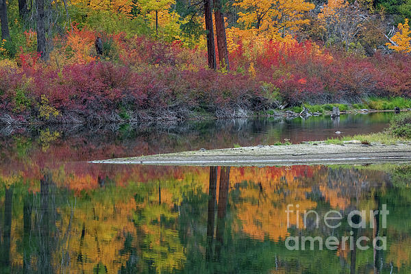 Autumn Pierced by Mike Dawson Autumn Pierced by Mike Dawson